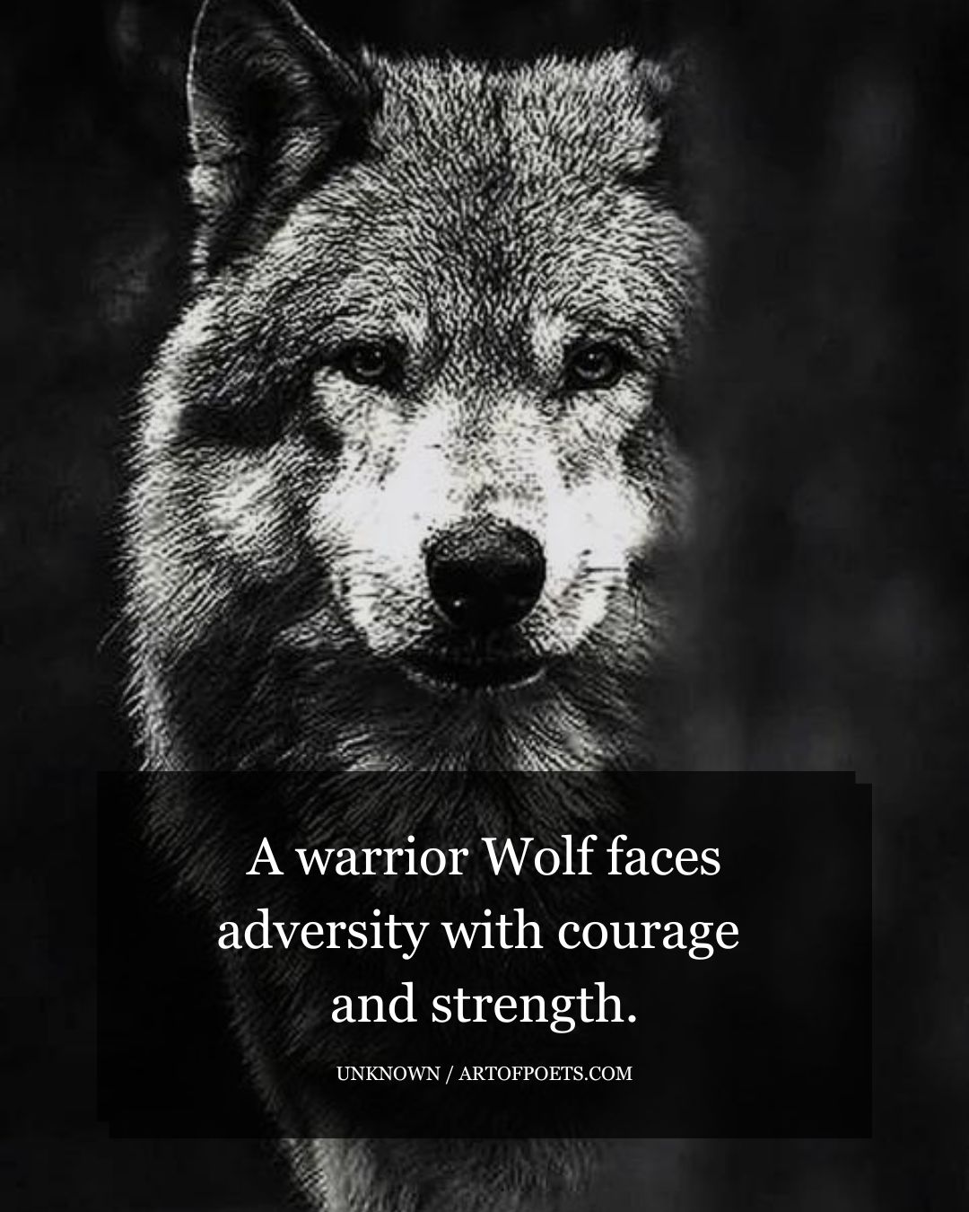 A warrior Wolf faces adversity with courage and strength