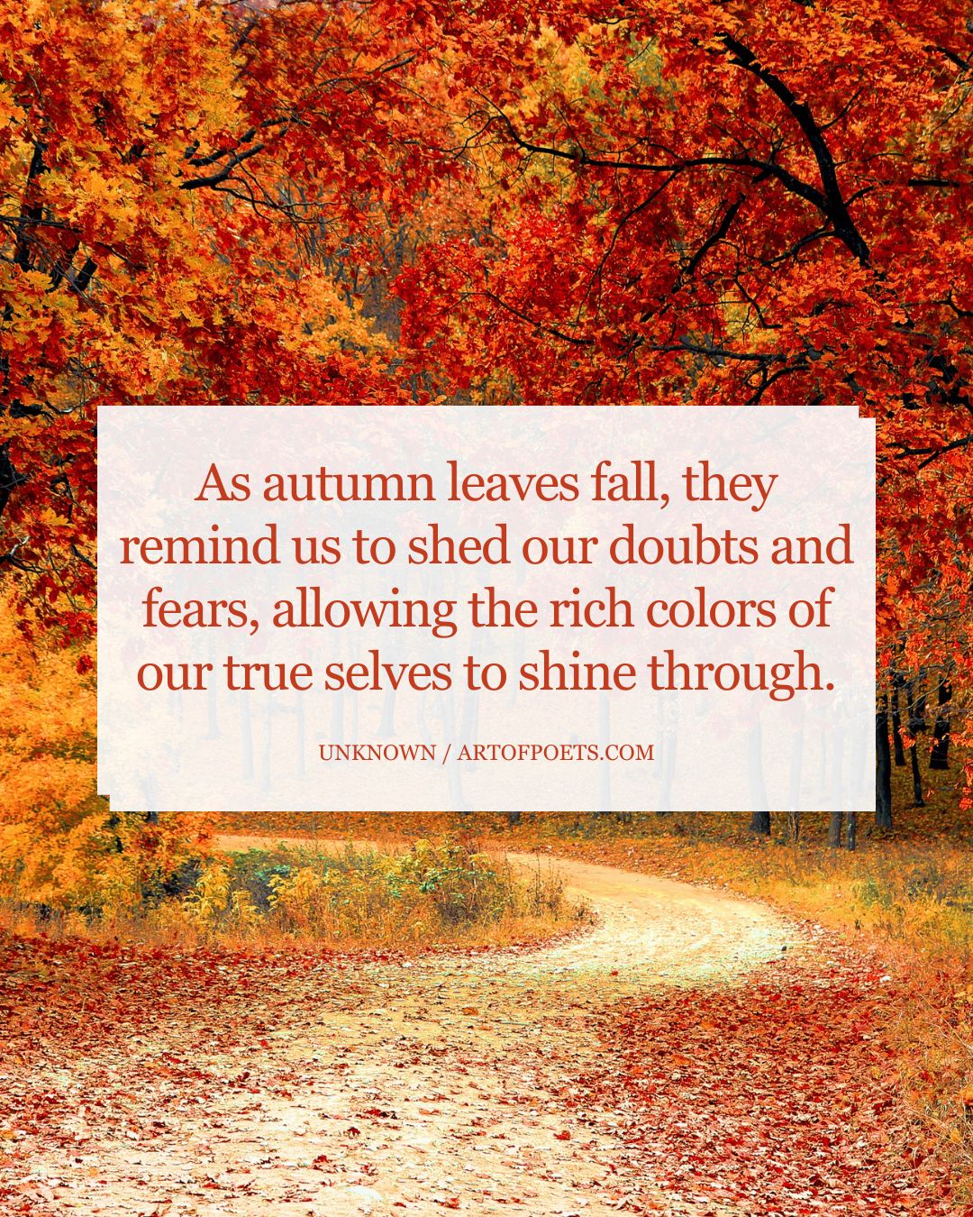 As autumn leaves fall they remind us to shed our doubts and fears allowing the rich colors of our true selves to shine through