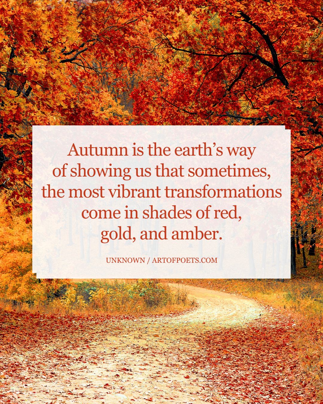 Autumn is the earths way of showing us that sometimes the most vibrant transformations come in shades of red gold and amber