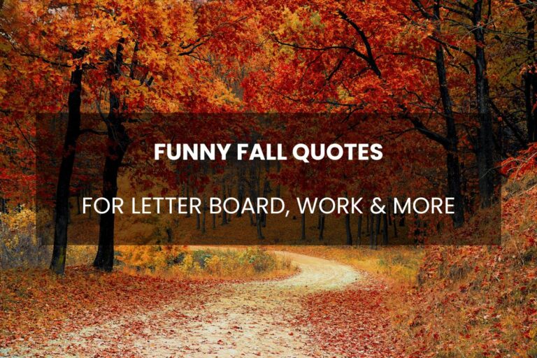 Best Funny Fall Quotes for Autumn 2024