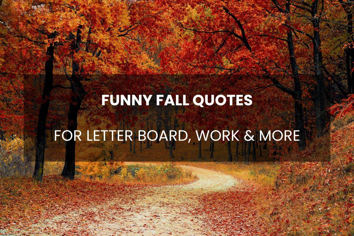 Best Funny Fall Quotes for Autumn 2024