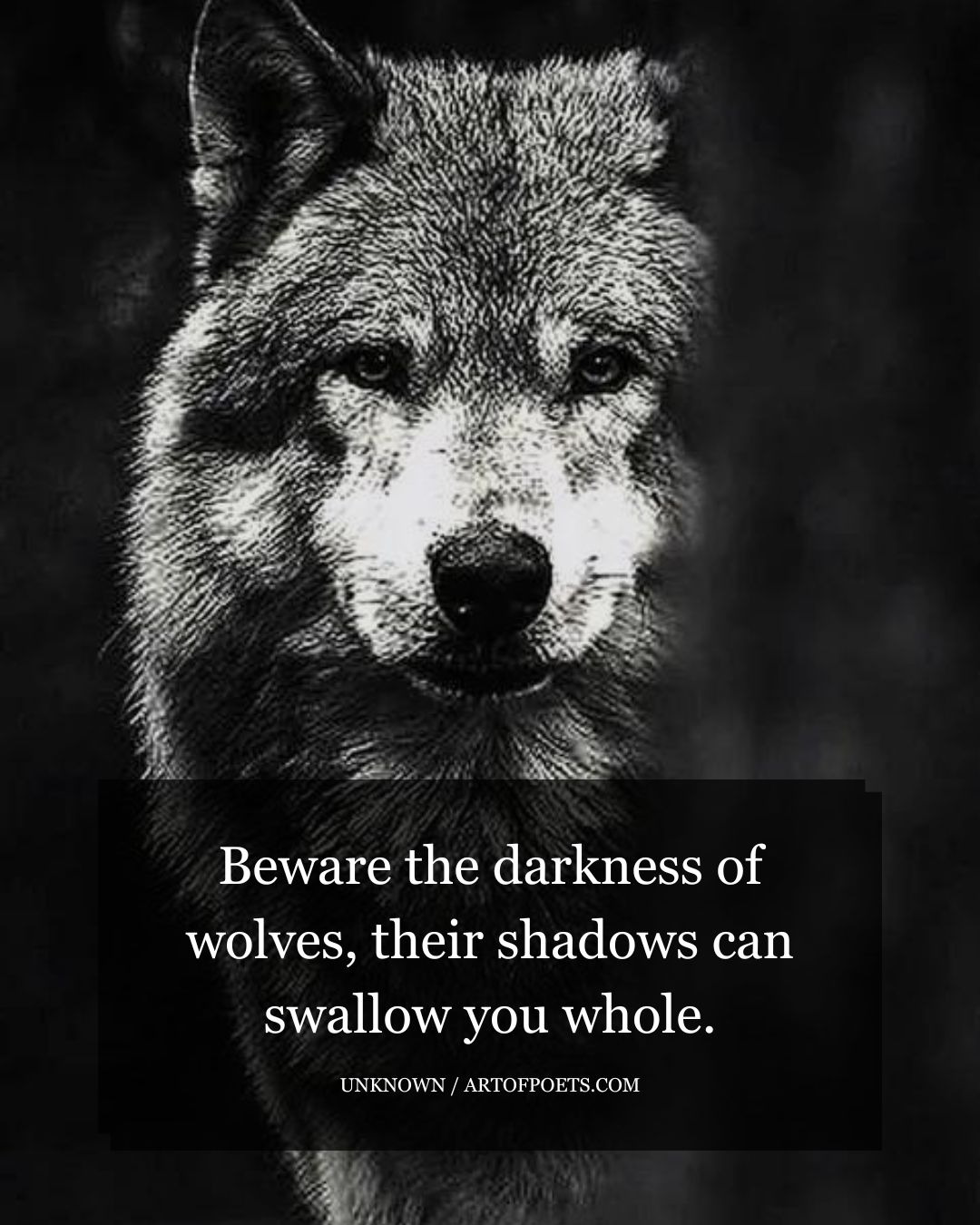 Beware the darkness of wolves their shadows can swallow you whole