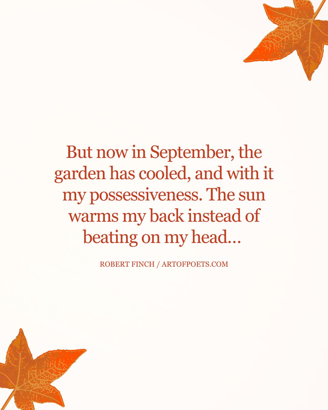 But now in September the garden has cooled and with it my possessiveness. The sun warms my back instead of beating on my head…