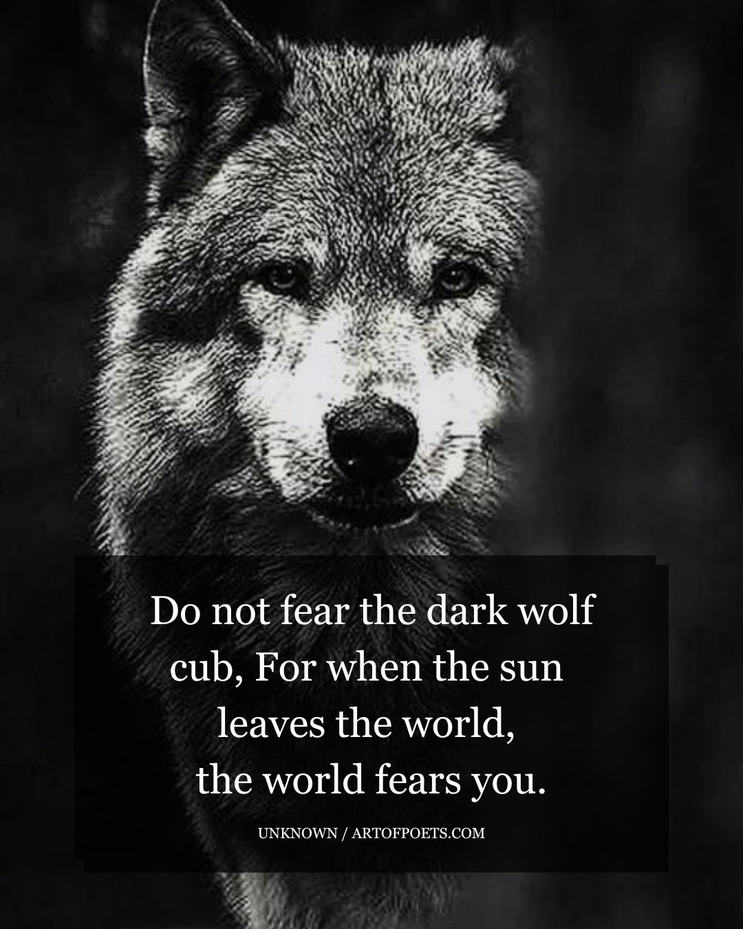 Do not fear the dark wolf cub For when the sun leaves the world the world fears you