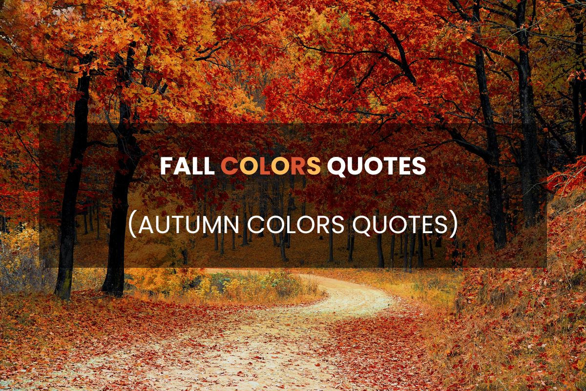 18 Inspirational Fall Colors Quotes for 2025 (Autumn Colors Quotes)