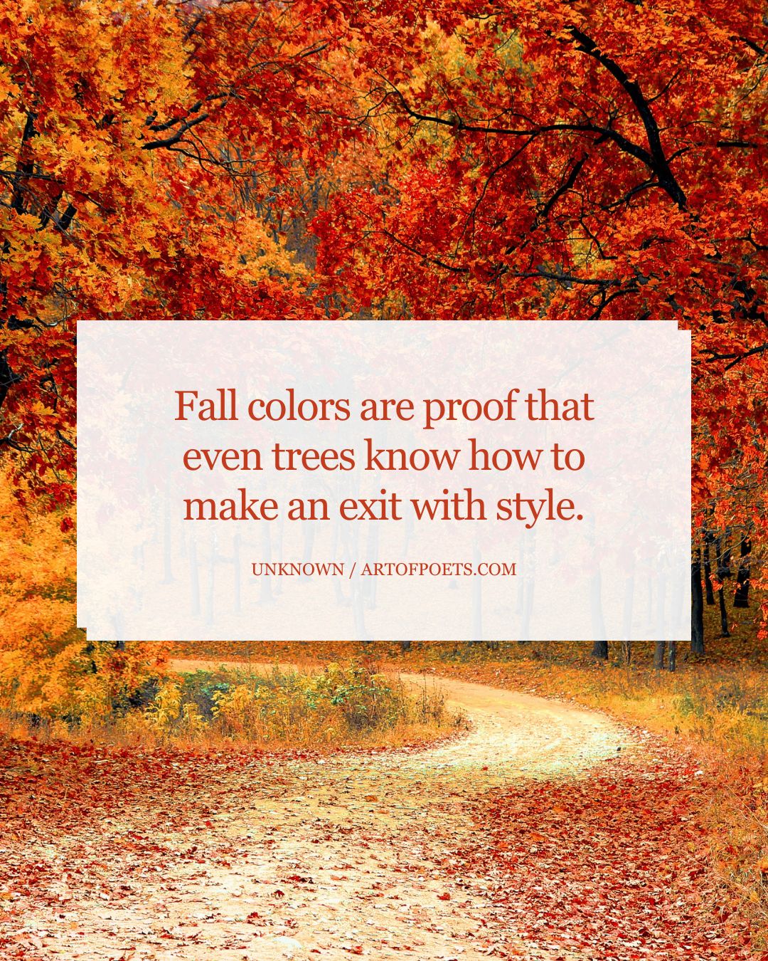 Fall colors are proof that even trees know how to make an exit with style