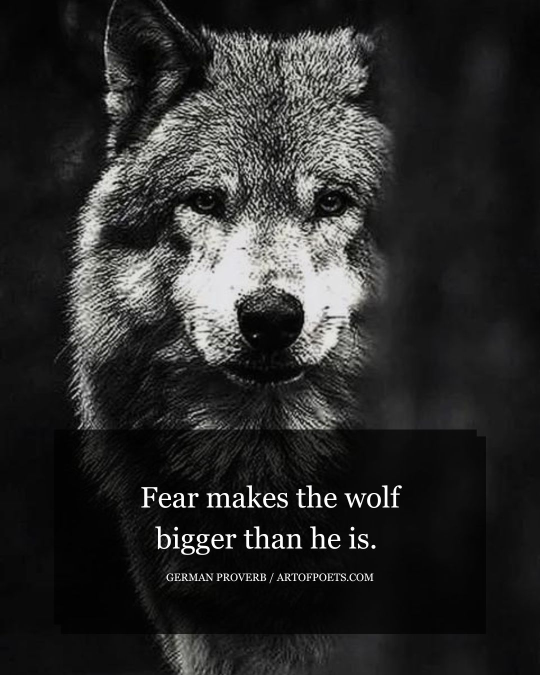 Fear makes the wolf bigger than he is