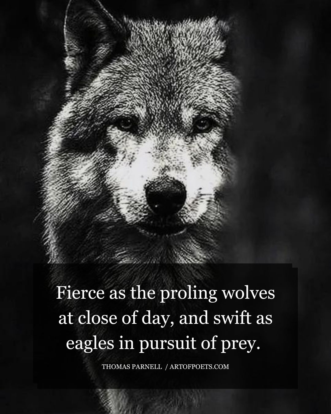 Fierce as the proling wolves at close of day and swift as eagles in pursuit of prey