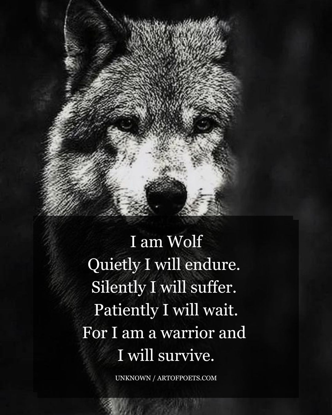 I am Wolf Quietly I will endure. Silently I will suffer. Patiently I will wait. For I am a warrior and I will survive