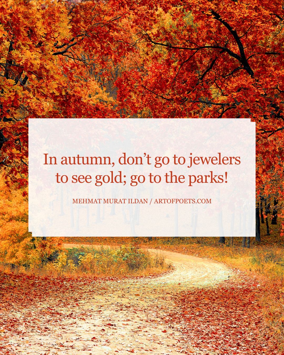 In autumn dont go to jewelers to see gold go to the parks