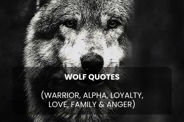 Inspirational Wolf Quotes (Warrior, Alpha, Loyalty, Love, Family & Anger)