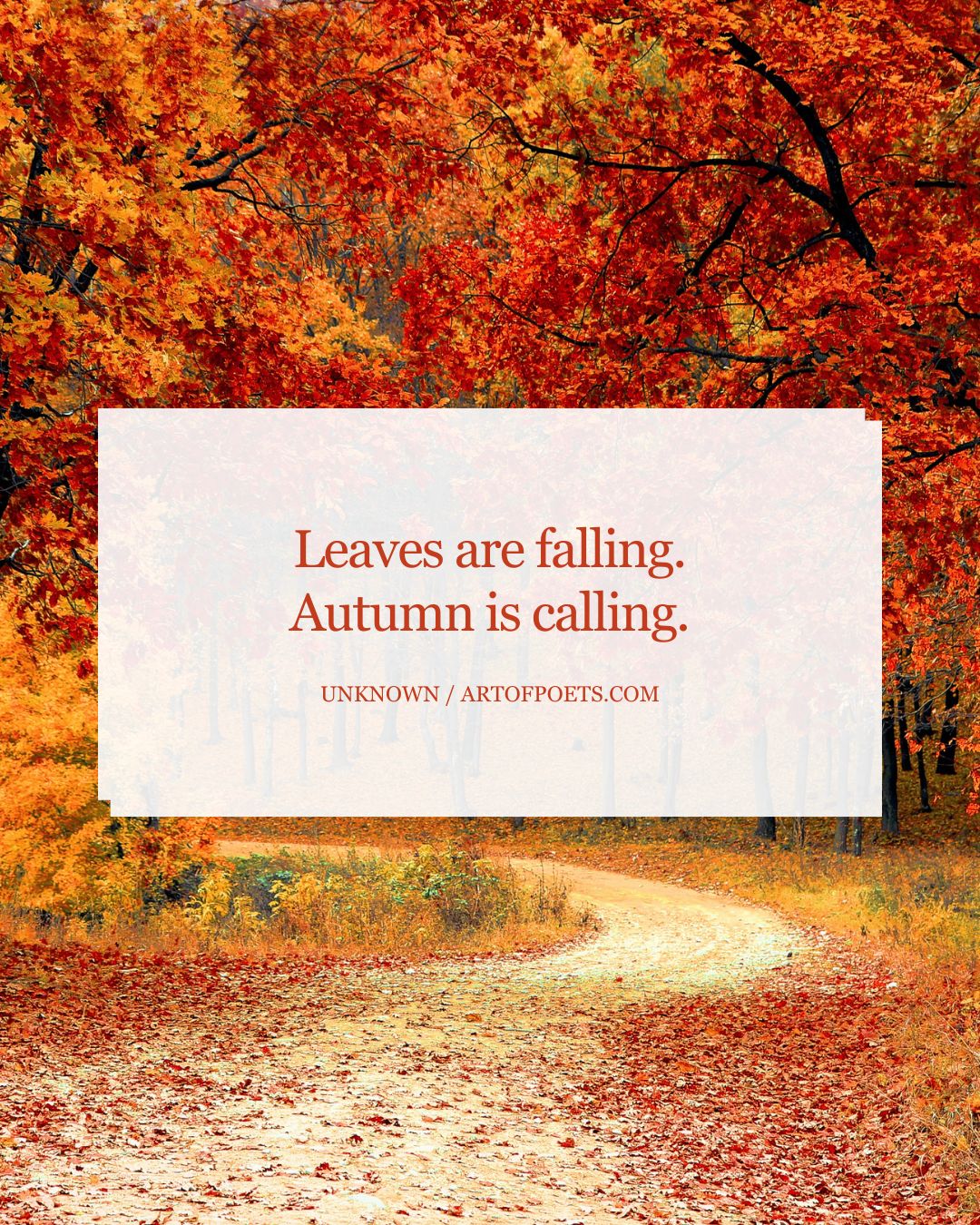 Leaves are falling. Autumn is calling 1