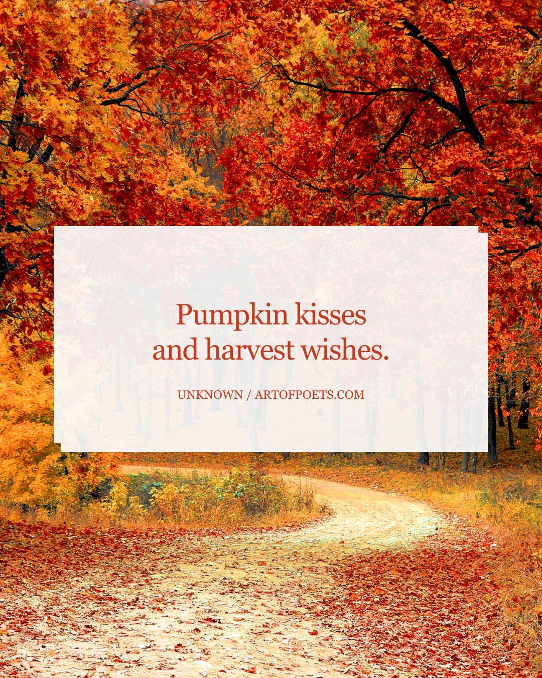 Pumpkin kisses and harvest wishes