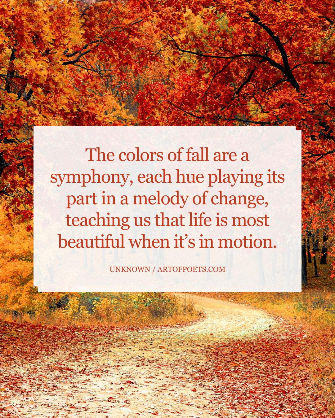 The colors of fall are a symphony each hue playing its part in a melody of change teaching us that life is most beautiful when its in motion