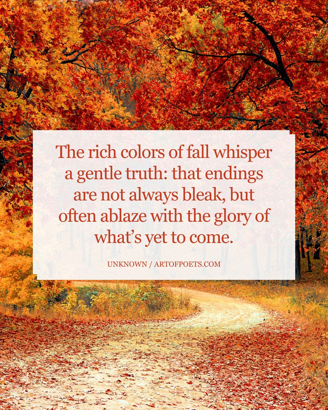 The rich colors of fall whisper a gentle truth that endings are not always bleak but often ablaze with the glory of whats yet to come