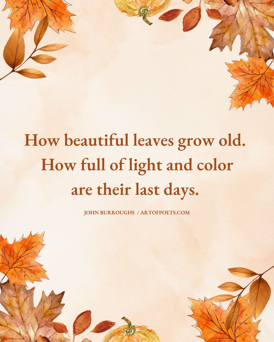 How beautiful leaves grow old. How full of light and color are their last days