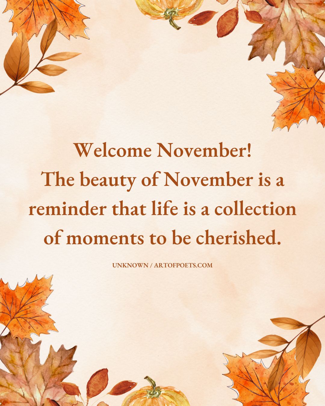 Welcome November The beauty of November is a reminder that life is a collection of moments to be cherished