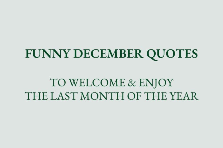 funny December Quotes to Welcome & Enjoy the Last Month of the year