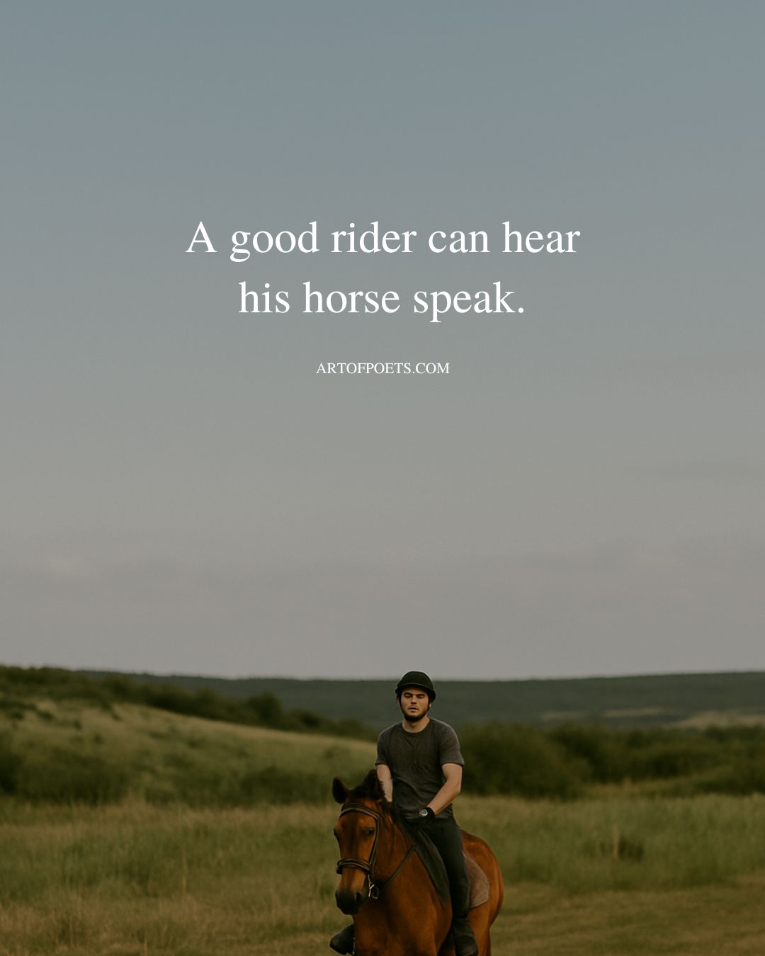 A good rider can hear his horse speak