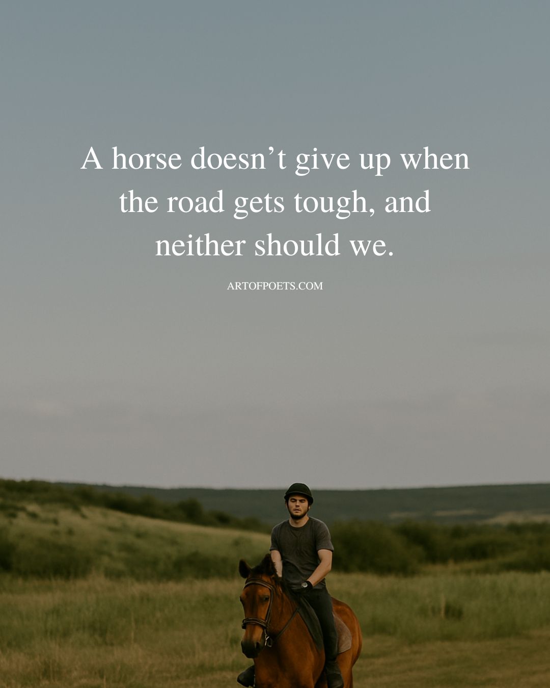 A horse doesnt give up when the road gets tough and neither should we. 1