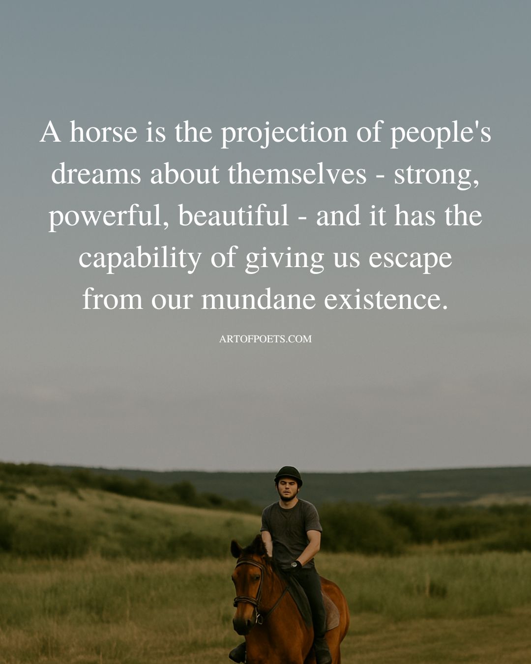 A horse is the projection of peoples dreams about themselves strong powerful beautiful and