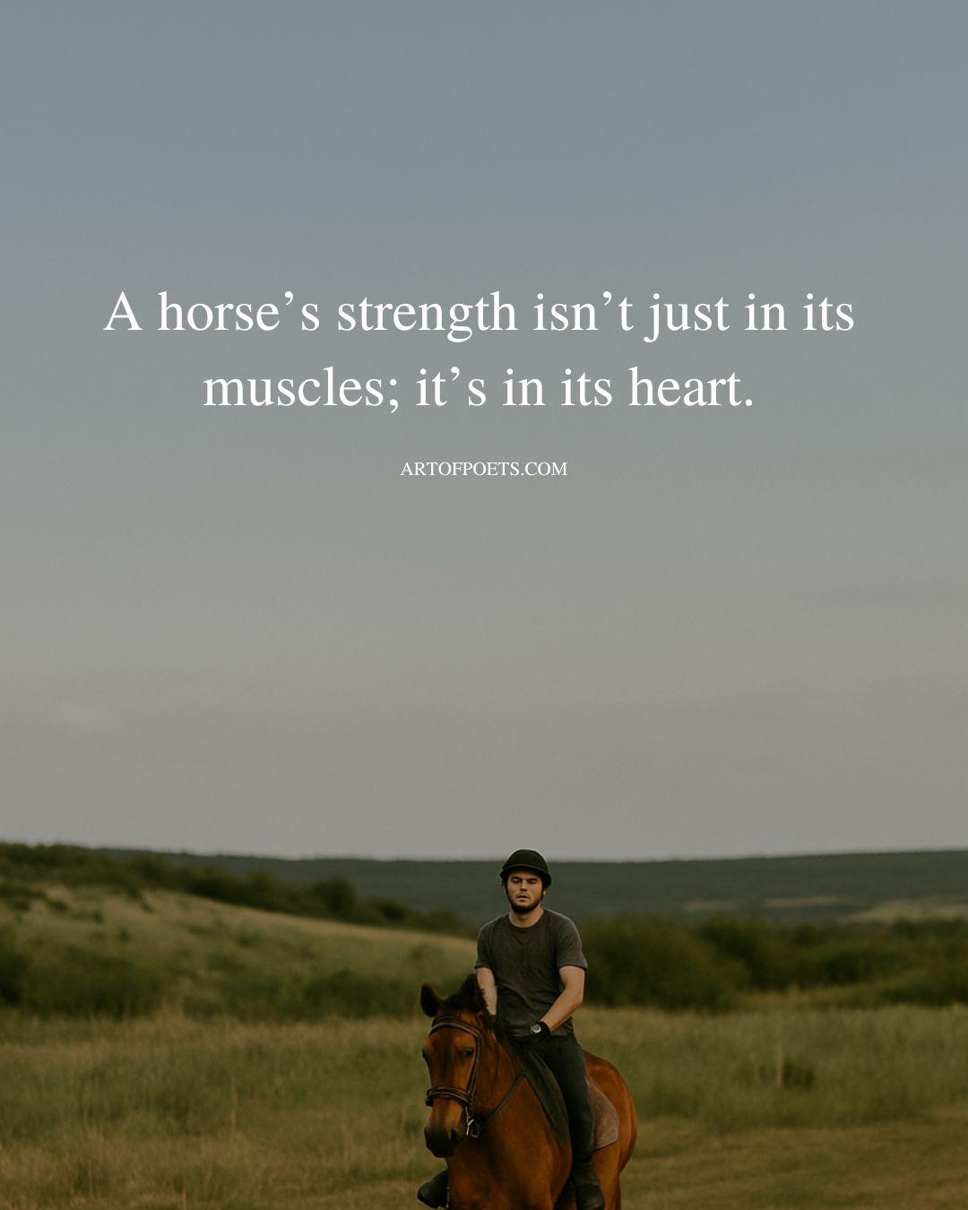A horses strength isnt just in its muscles its in its heart 2