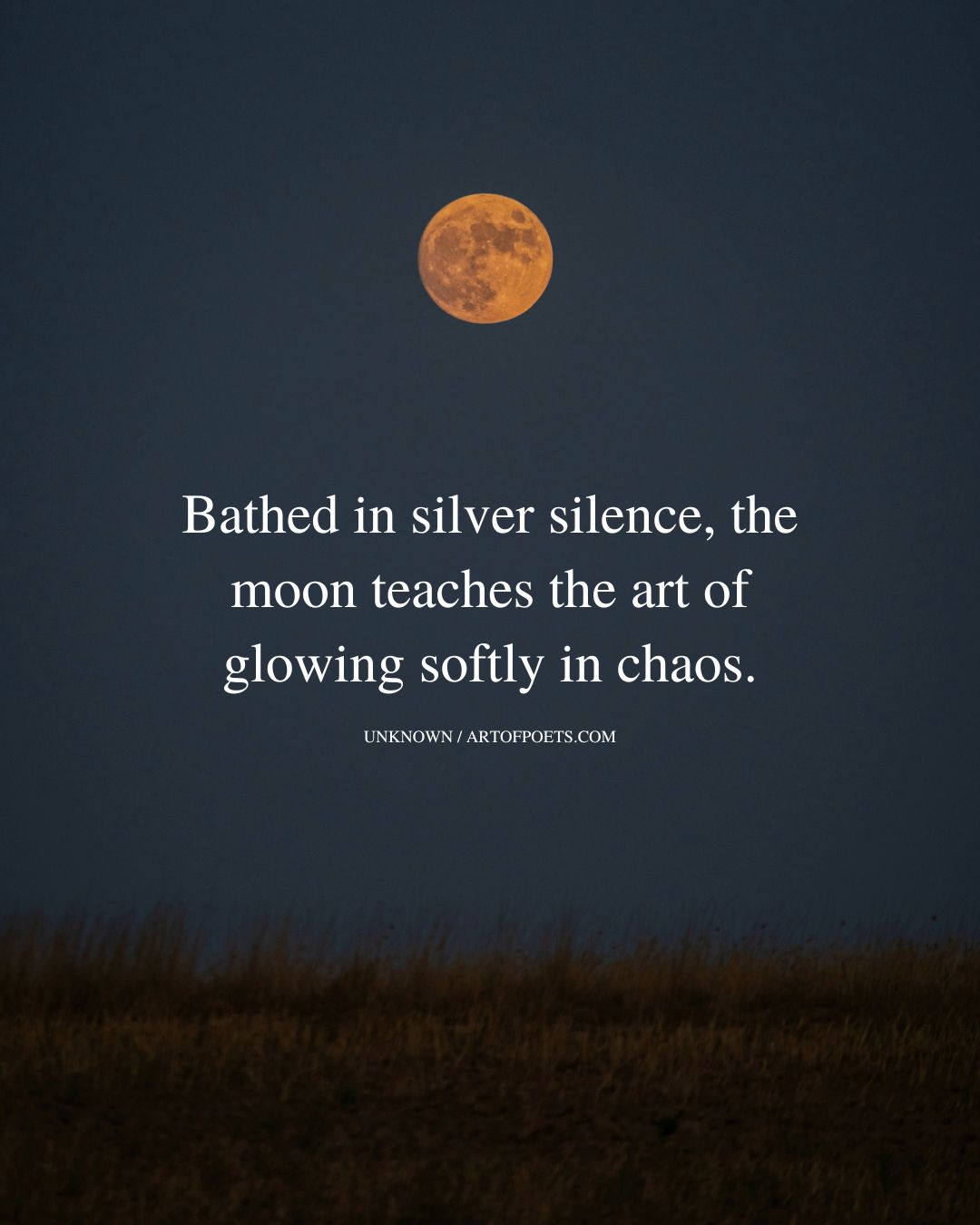 Bathed in silver silence the moon teaches the art of glowing softly in chaos