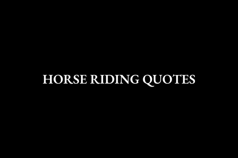 Horse Riding Quotes Featured Image