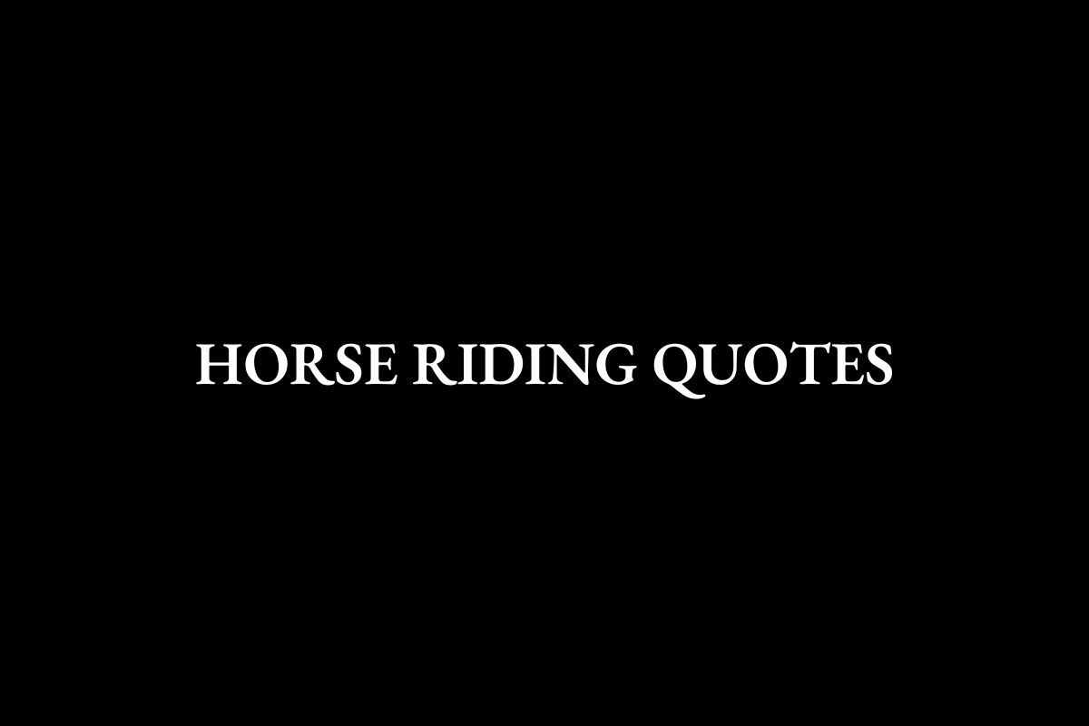 Horse Riding Quotes Featured Image