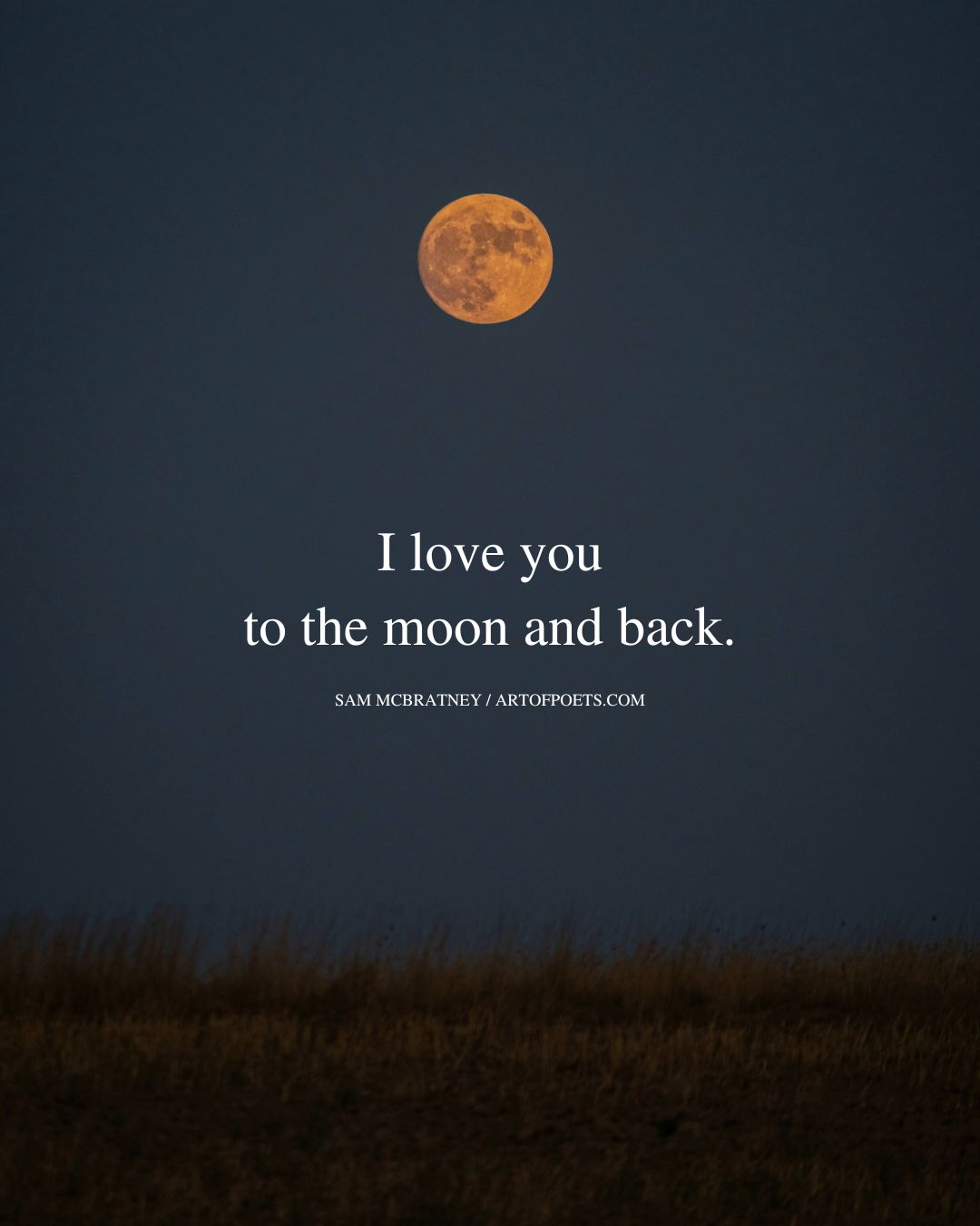 I love you to the moon and back