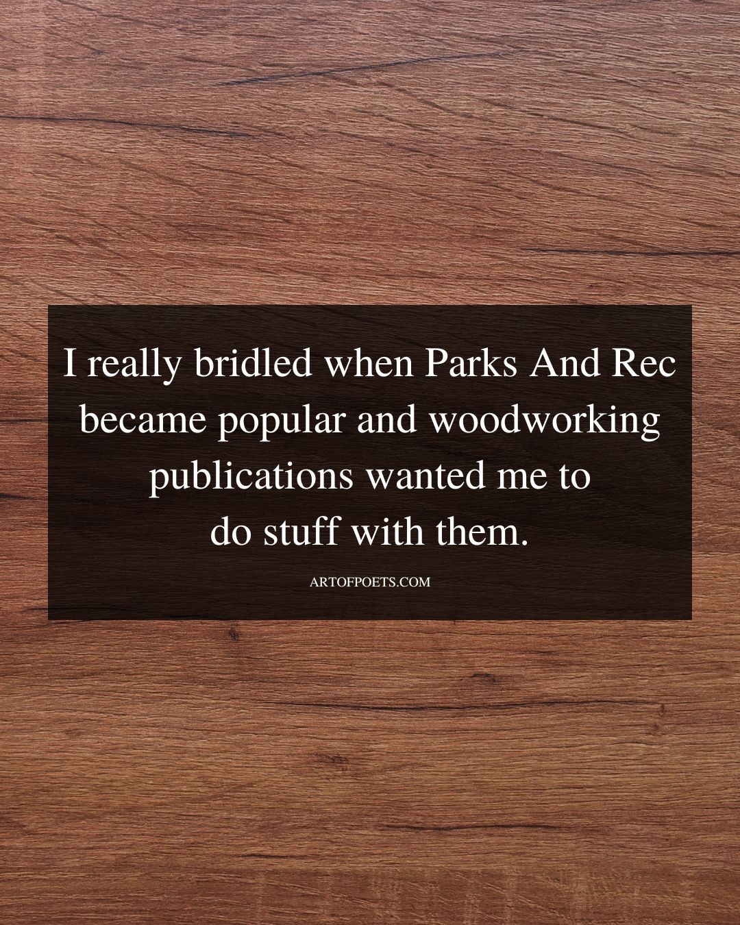 I really bridled when Parks And Rec became popular and woodworking
