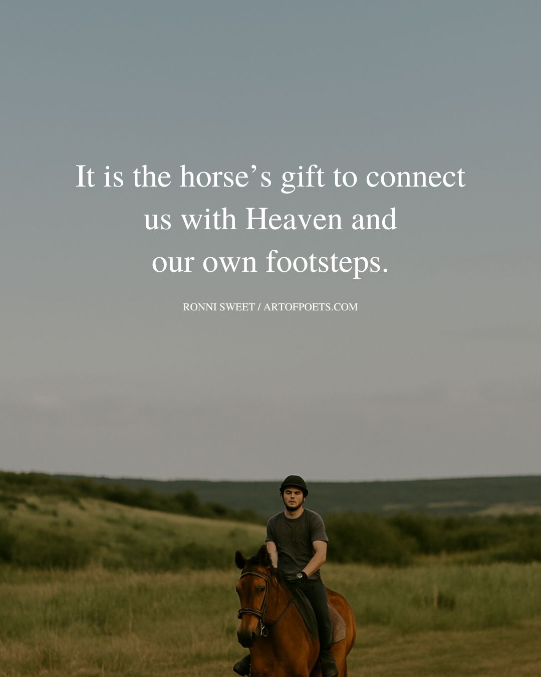 It is the horses gift to connect us with Heaven and our own footsteps. Ronni Sweet