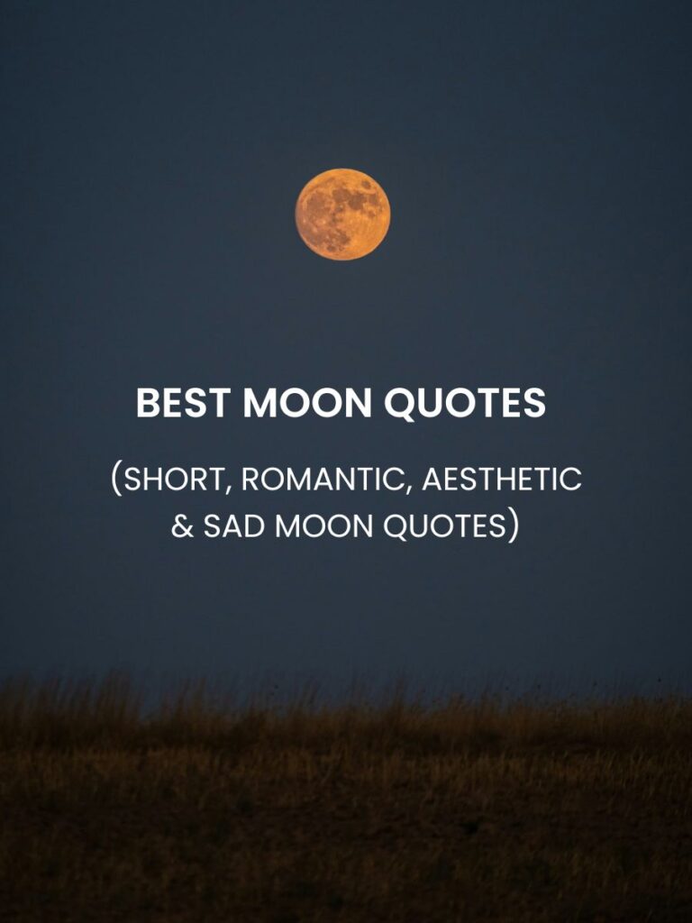 Moon Quotes Featured Image