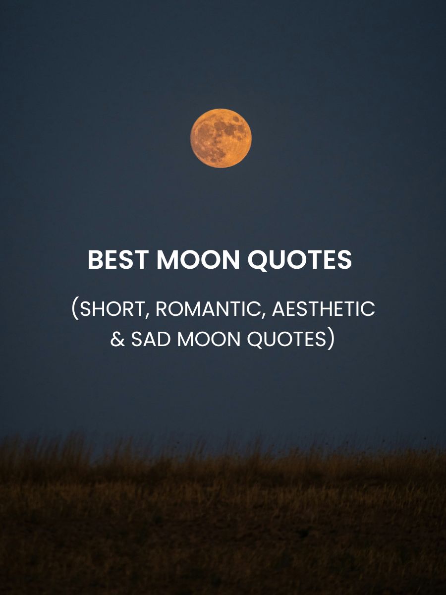 Moon Quotes Featured Image