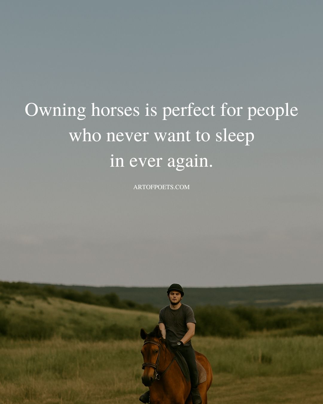 Owning horses is perfect for people who never want to sleep in ever again
