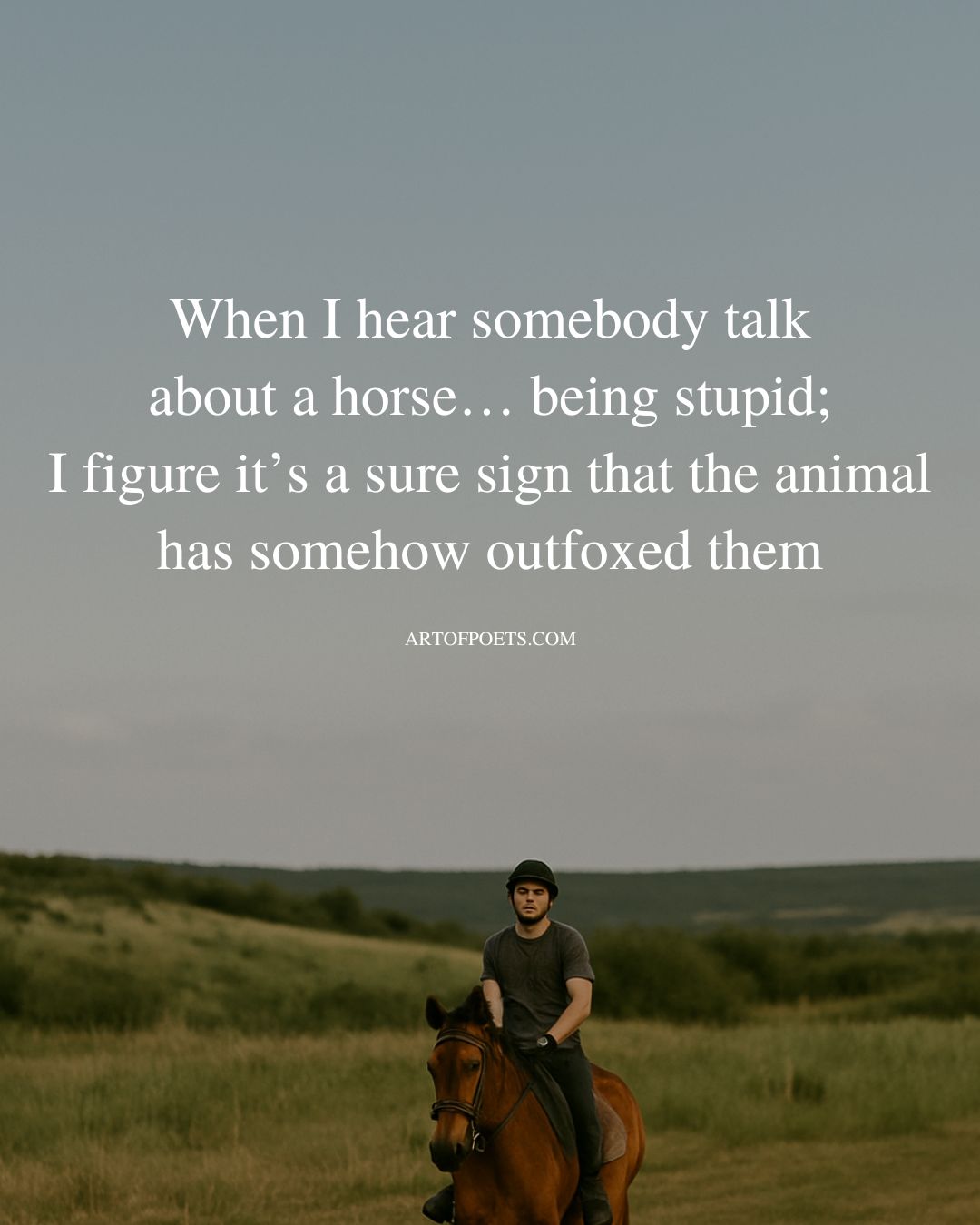 When I hear somebody talk about a horse… being stupid I figure its a sur