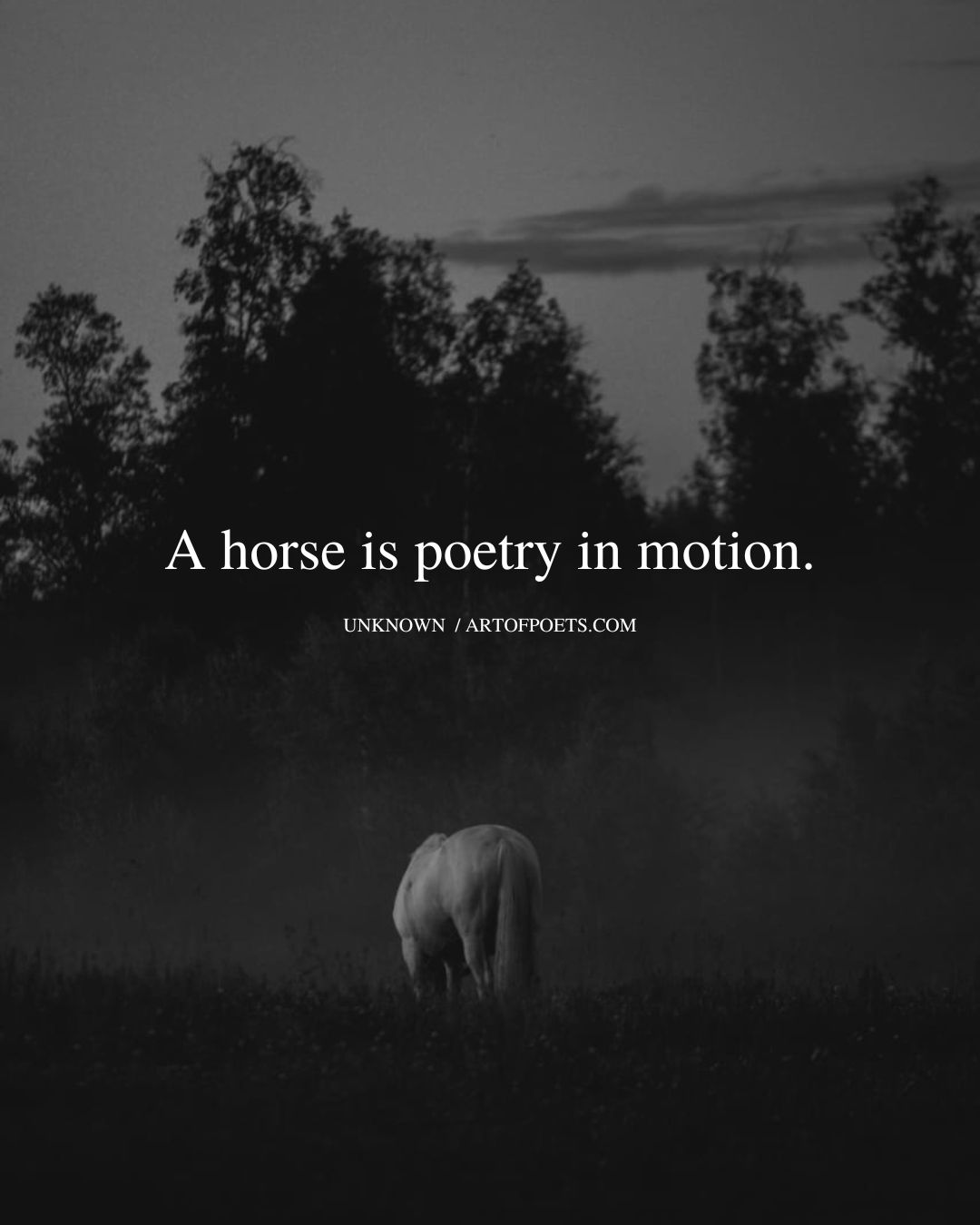 A horse is poetry in motion