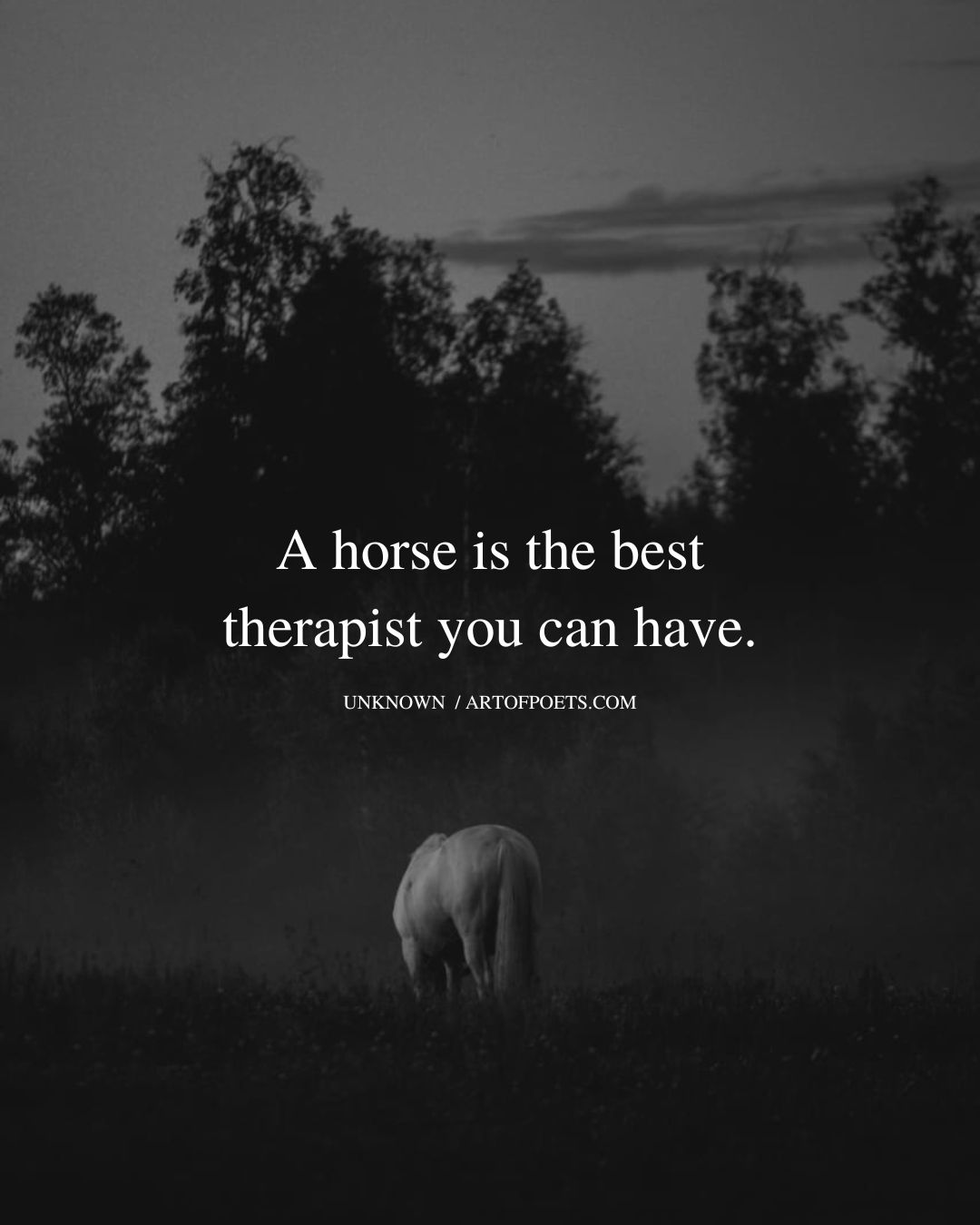 A horse is the best therapist you can have
