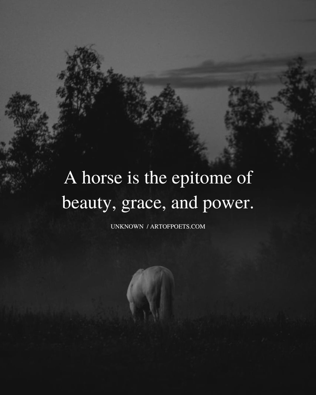 A horse is the epitome of beauty grace and power