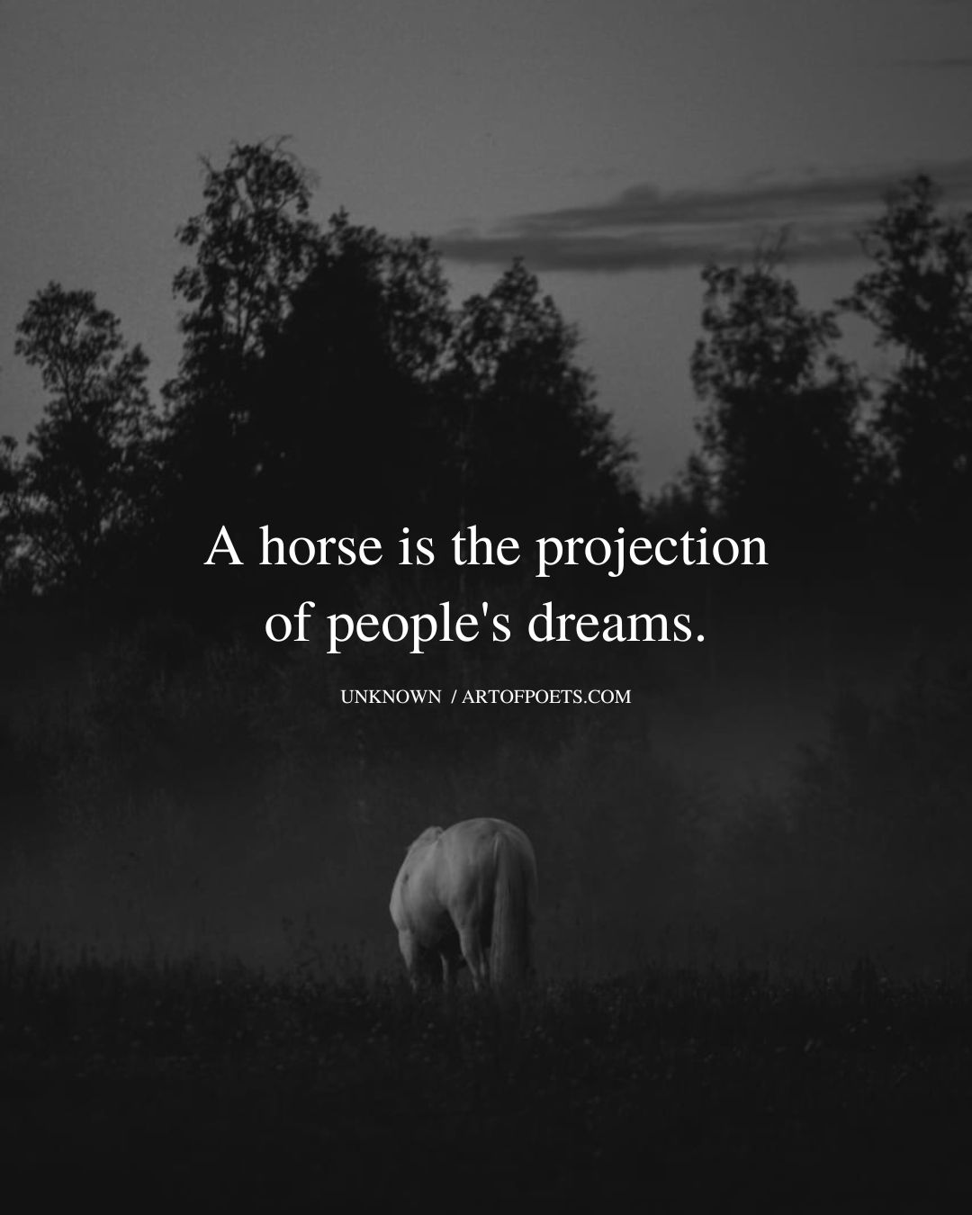 A horse is the projection of peoples dreams