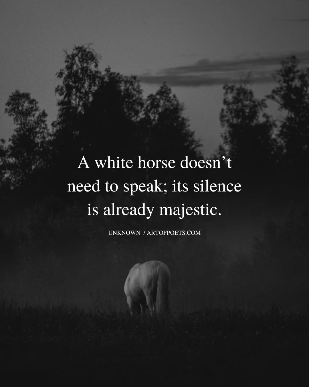 A white horse doesnt need to speak its silence is already majestic
