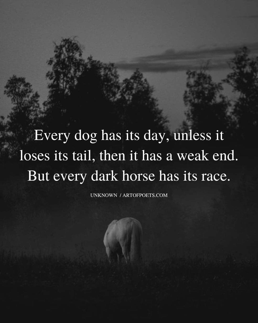 Every dog has its day unless it loses its tail then it has a weak end