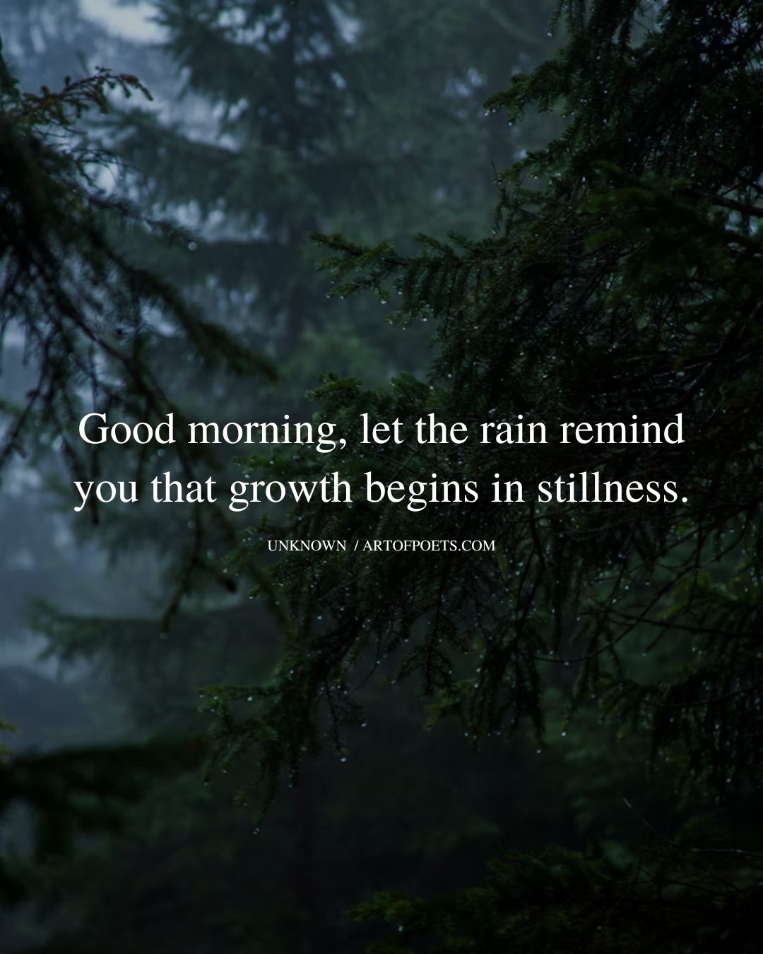 Good morning let the rain remind you that growth begins in stillness