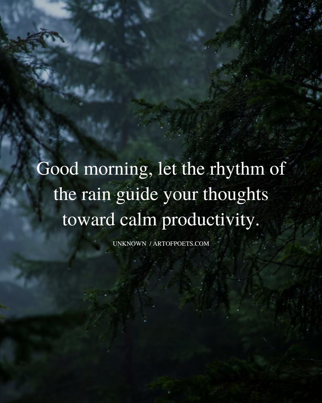 Good morning let the rhythm of the rain guide your
