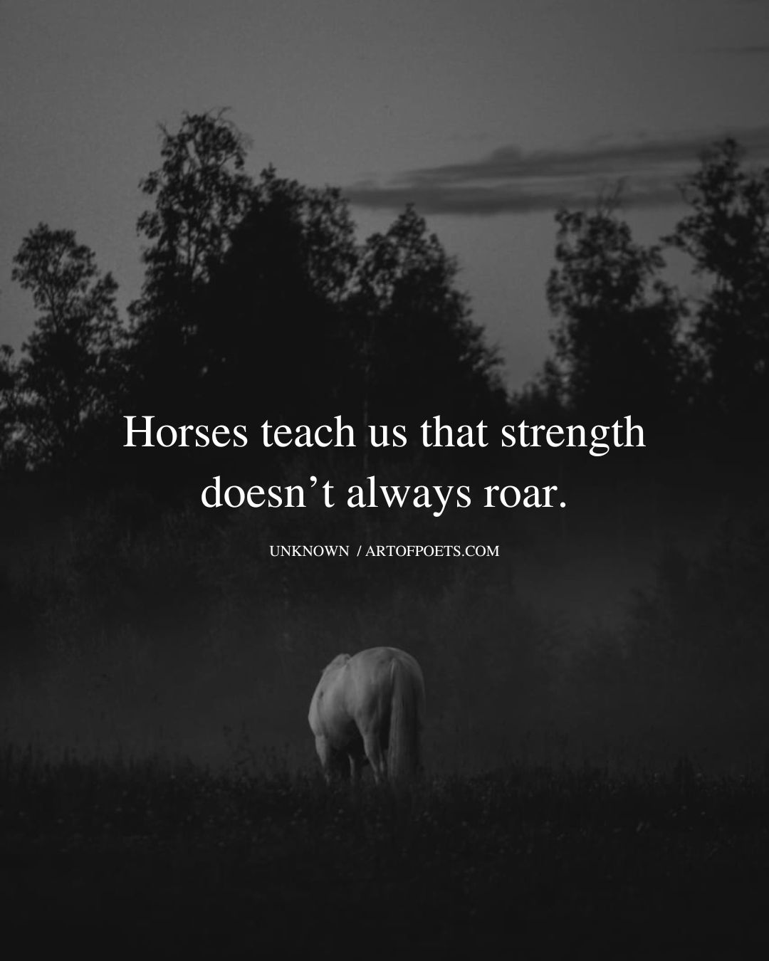 Horses teach us that strength doesnt always roar