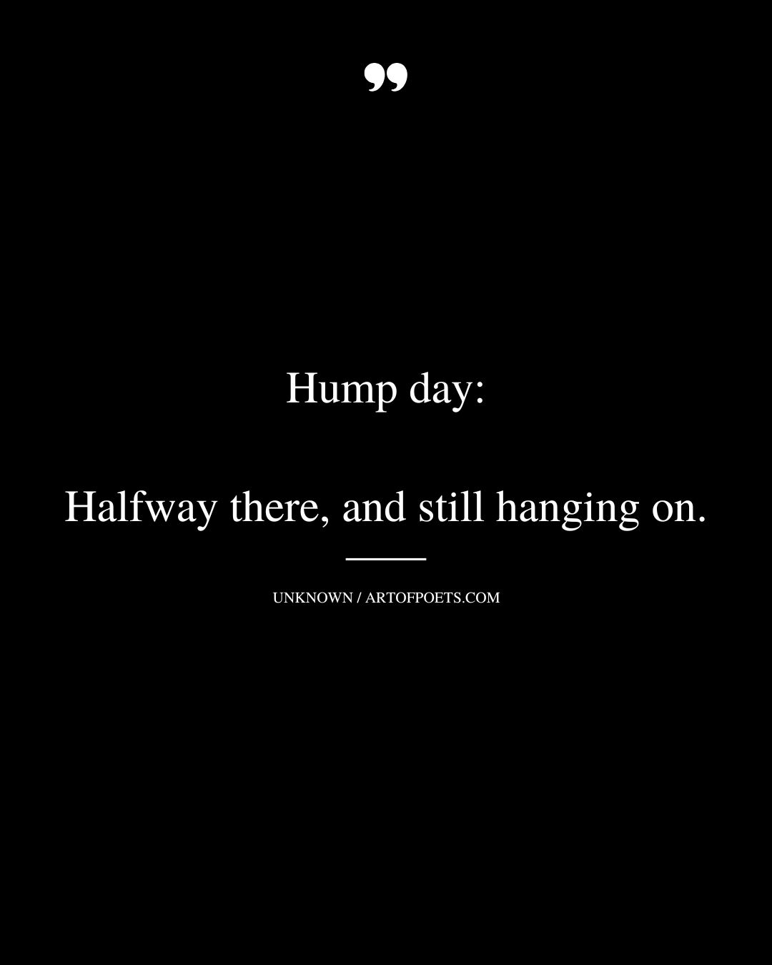 Hump day Halfway there and still hanging on