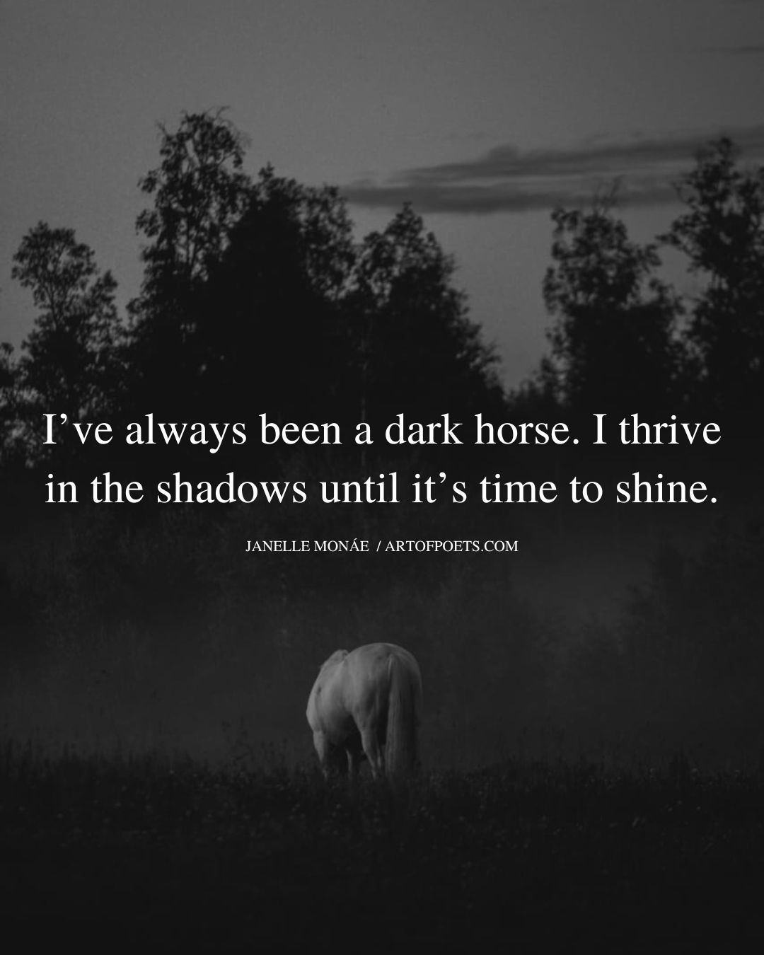 Ive always been a dark horse. I thrive in the shadows until its time to shine