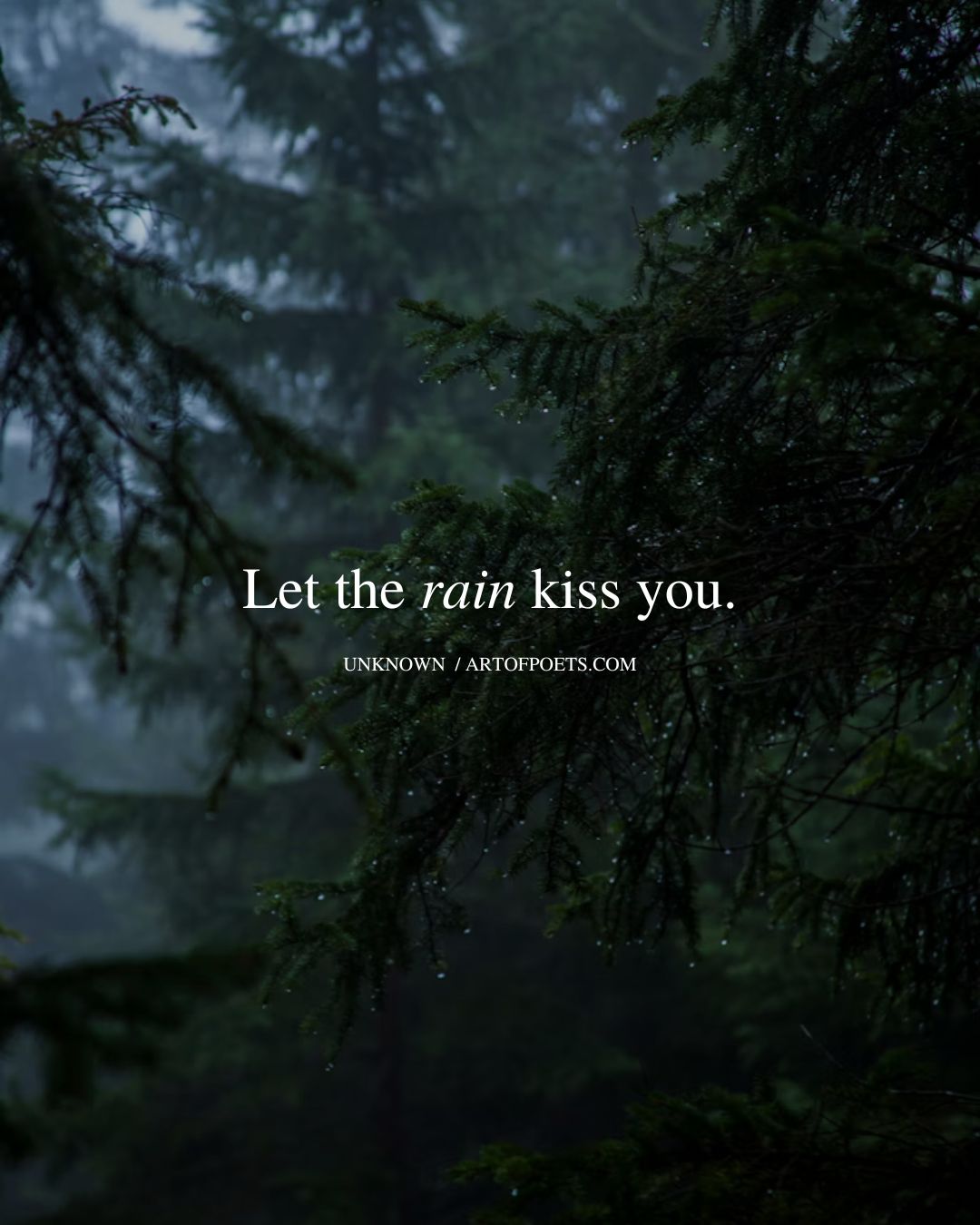 Let the rain kiss you