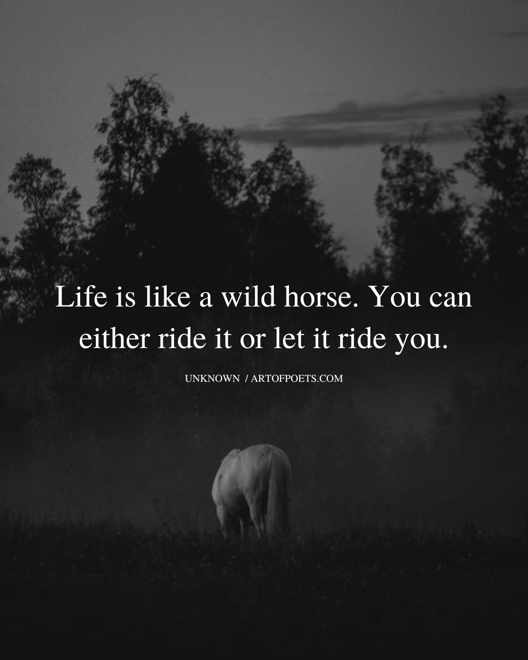 Life is like a wild horse. You can either ride it or let it ride you