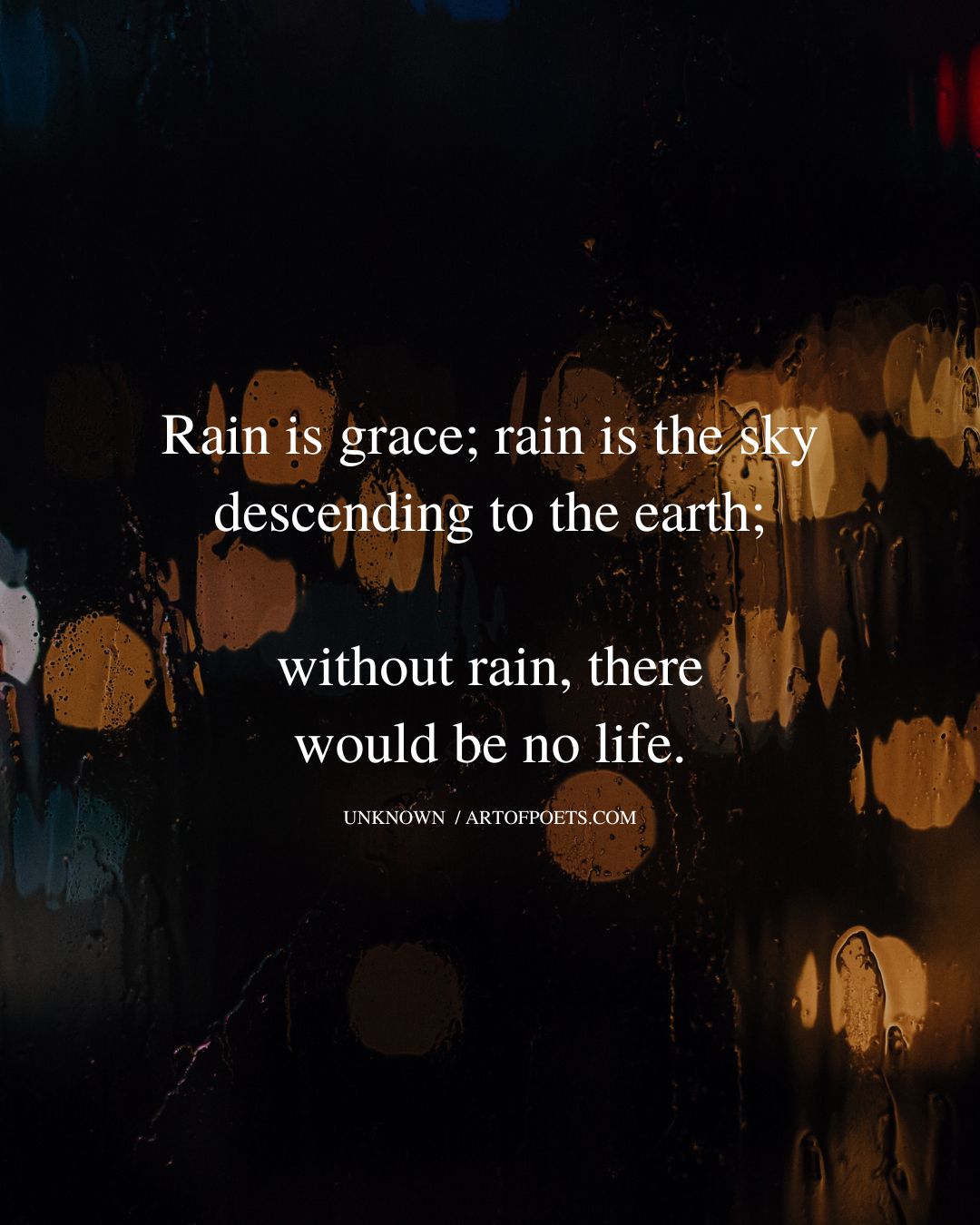 Rain is grace rain is the sky descending to the earth without rain